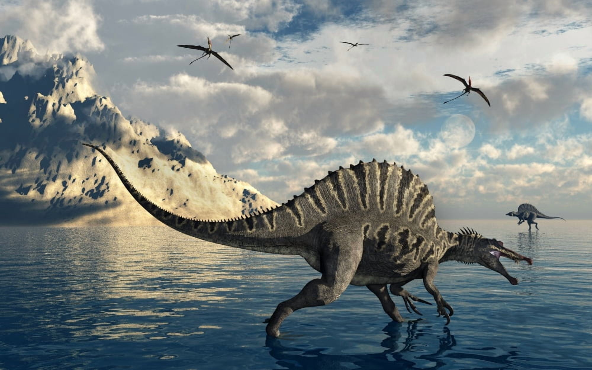 A pair of Spinosaurus hunting for fish Canvas Art - Mark StevensonStocktrek Images (18 x 12)