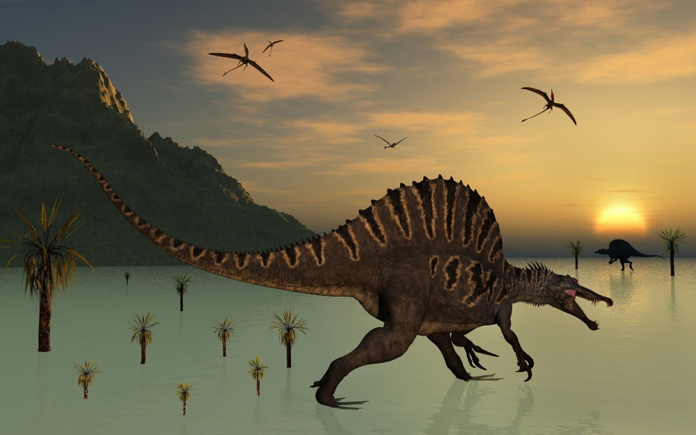 A pair of Spinosaurus hunting for fish Canvas Art - Mark StevensonStocktrek Images (18 x 12)