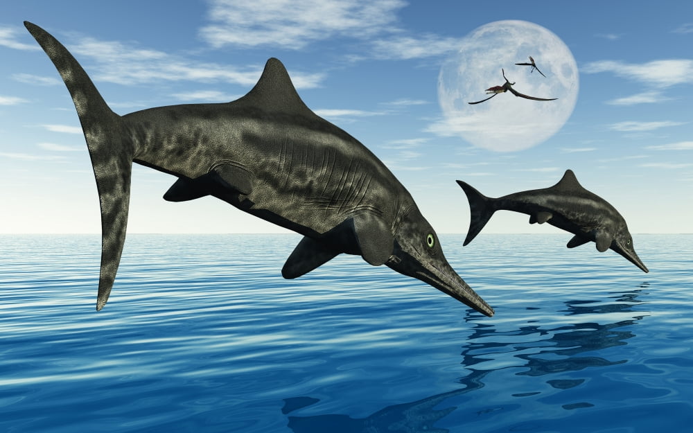 A pair of Stenopterygius ichthyosaurs jumping out of the water Canvas Art - Mark StevensonStocktrek Images (36 x 23)