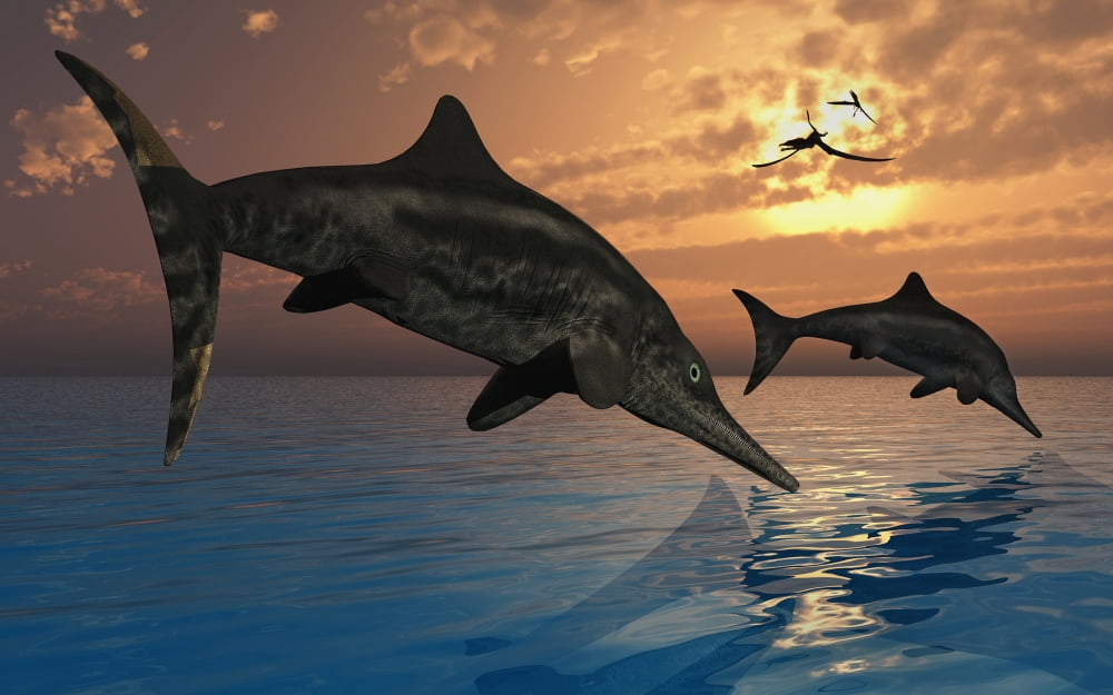 A pair of Stenopterygius ichthyosaurs jumping out of the water Canvas Art - Mark StevensonStocktrek Images (36 x 23)