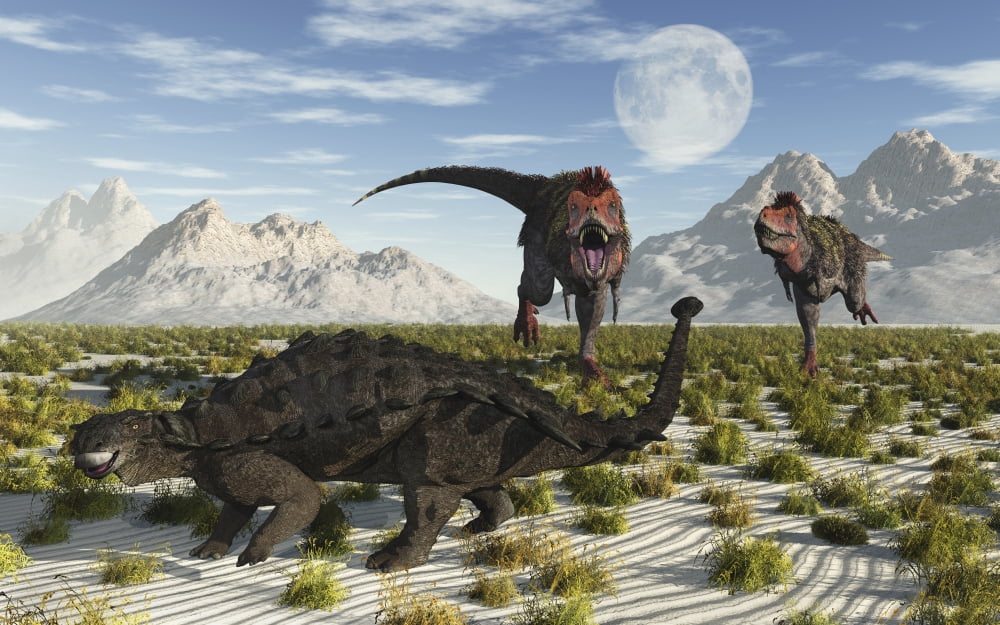 A pair of Tarbosaurus dinosaurs running towards a Pinacosaurus Canvas Art - Mark StevensonStocktrek Images (36 x 23)
