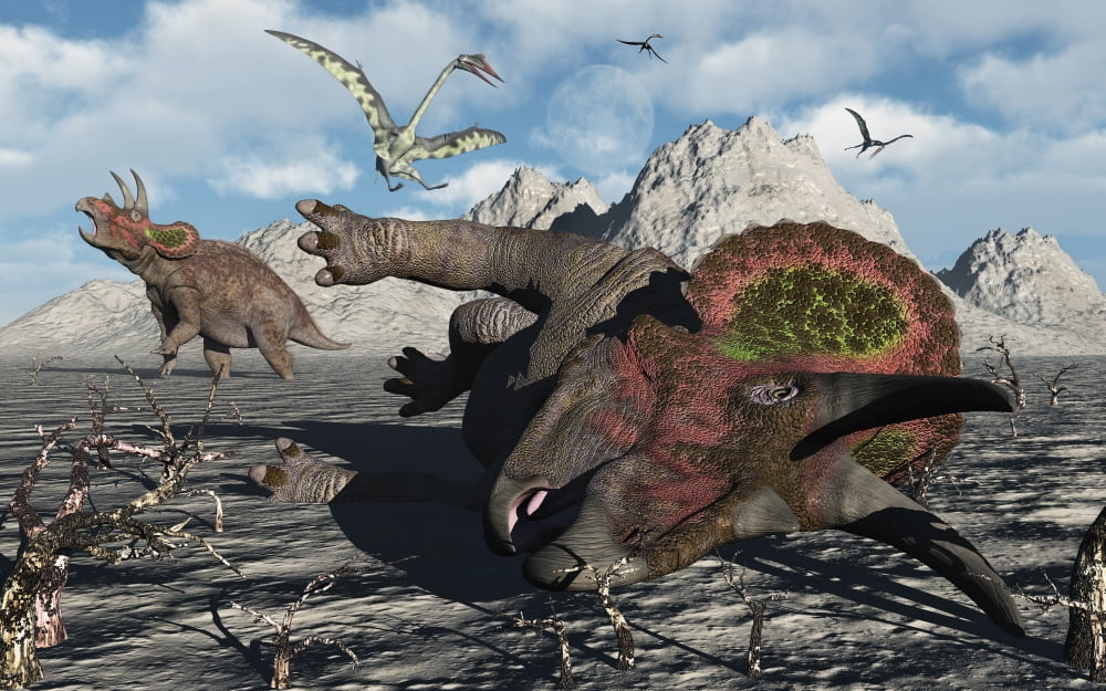 A pair of Triceratops trapped in a deadly mud pit Canvas Art - Mark StevensonStocktrek Images (36 x 23)