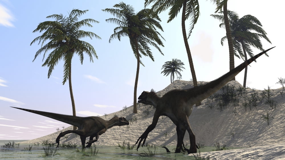 A pair of Utahraptors hunting on the shores of a prehistoric environment Canvas Art - Kostyantyn IvanyshenStocktrek Images (38 x 22)
