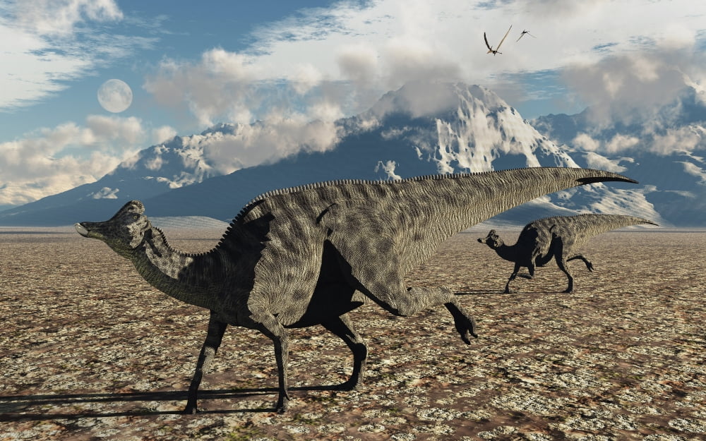 A pair of Velafrons hadrosaurid dinosaurs from the Cretaceous Period Canvas Art - Mark StevensonStocktrek Images (36 x 23)