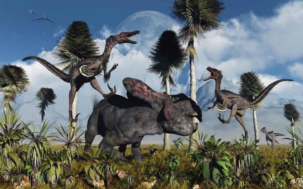 A pair of Velociraptors attack a lone Protoceratops Canvas Art - Mark StevensonStocktrek Images (36 x 23)