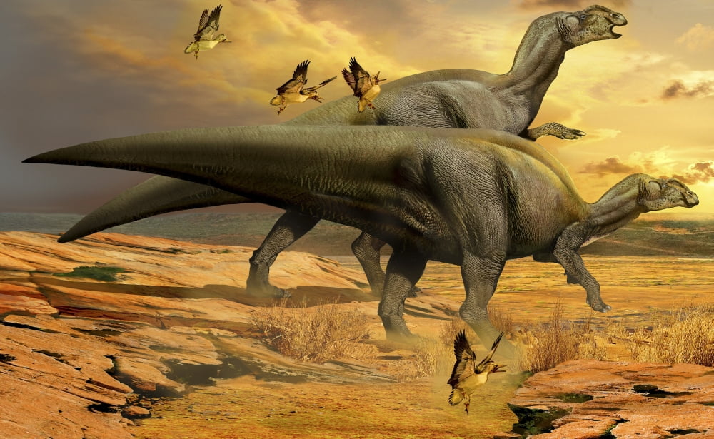 A pair of Willinakaqe dinosaurs from the Late Cretaceous of Argentina Canvas Art - Jan SovakStocktrek Images (18 x 11)
