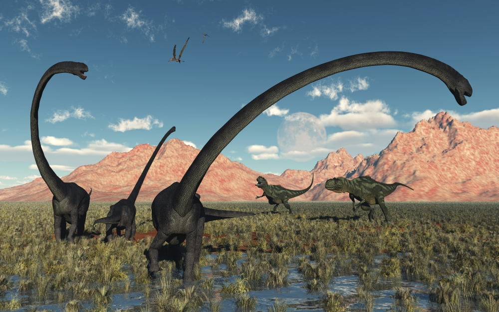A pair of Yangchuanosaurus dinosaurs confront a family of Omeisaurus Canvas Art - Mark StevensonStocktrek Images (18 x 12)