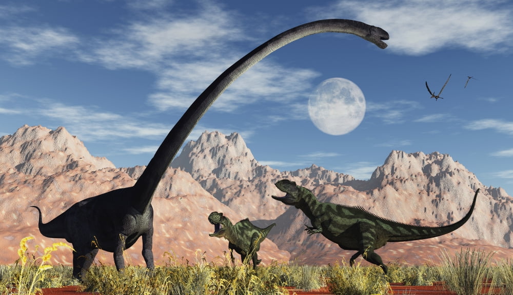A pair of Yangchuanosaurus dinosaurs confront an Omeisaurus Canvas Art - Mark StevensonStocktrek Images (19 x 11)