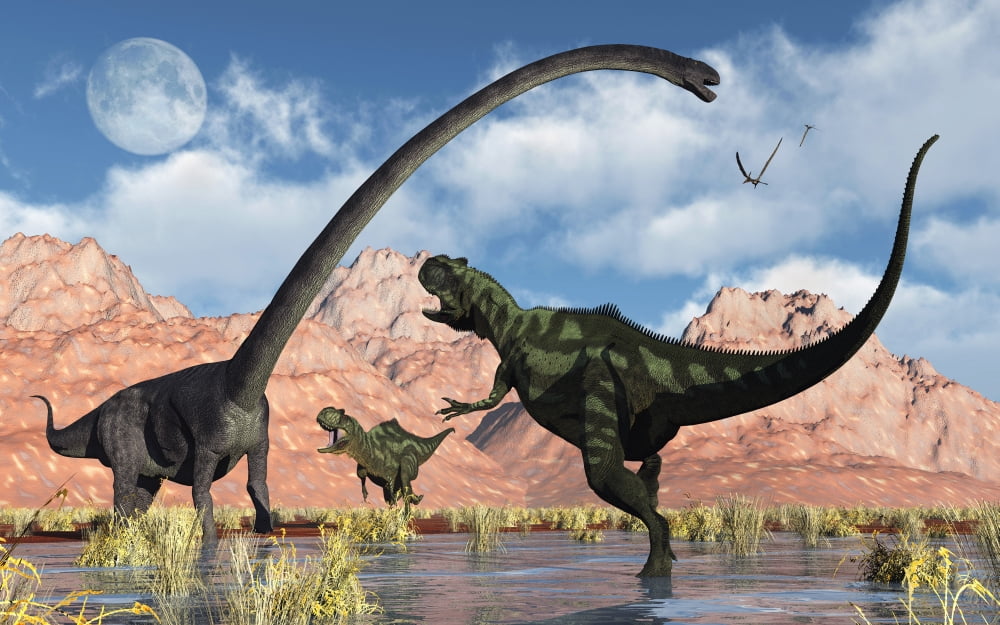 A pair of Yangchuanosaurus dinosaurs confront an Omeisaurus Canvas Art - Mark StevensonStocktrek Images (36 x 23)