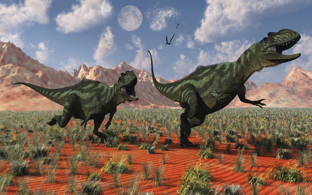 A pair of Yangchuanosaurus dinosaurs hunting Canvas Art - Mark StevensonStocktrek Images (36 x 23)