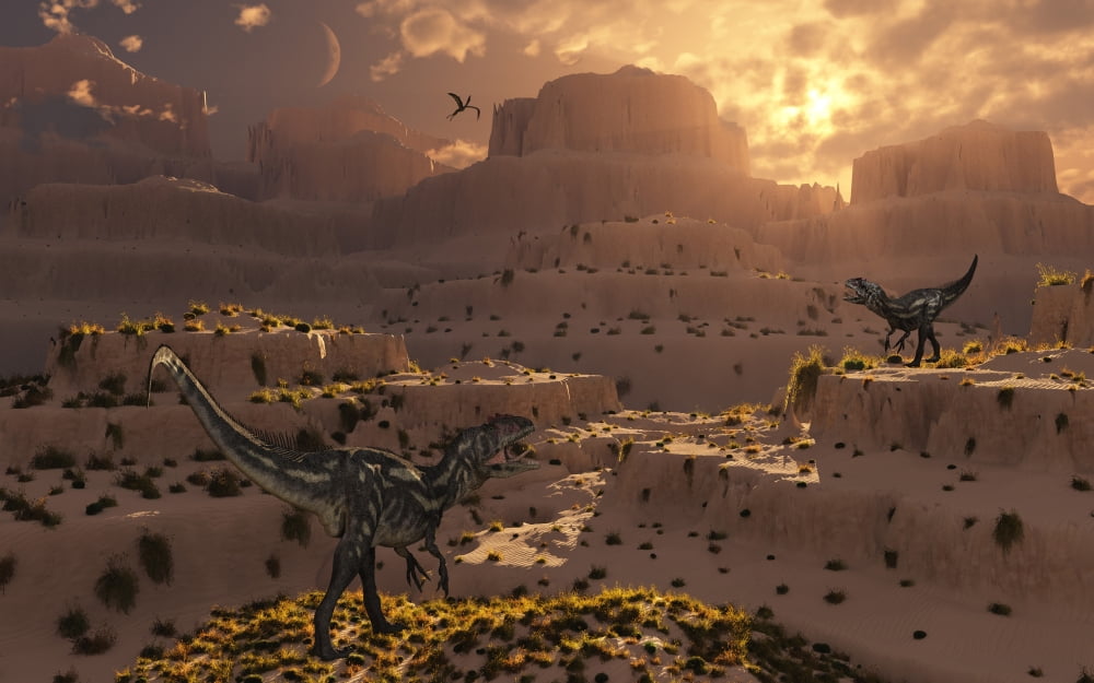 A pair of carnivorous Allosaurus dinosaurs Canvas Art - Mark StevensonStocktrek Images (18 x 12)