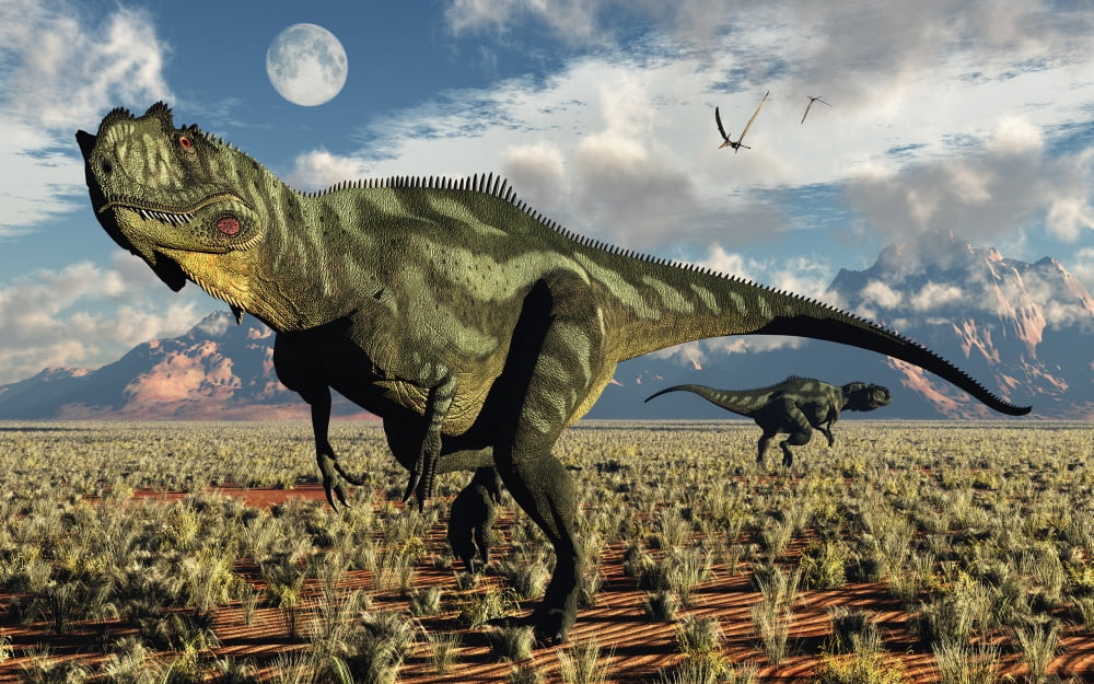 A pair of carnivorous Yangchuanosaurus dinosaurs Canvas Art - Mark StevensonStocktrek Images (18 x 12)