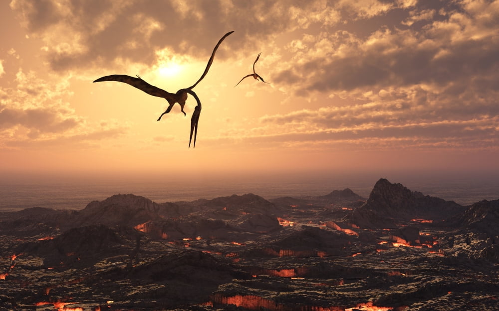 A pair of giant Quetzalcoatlus flying over a volcanic landscape Canvas Art - Mark StevensonStocktrek Images (18 x 12)