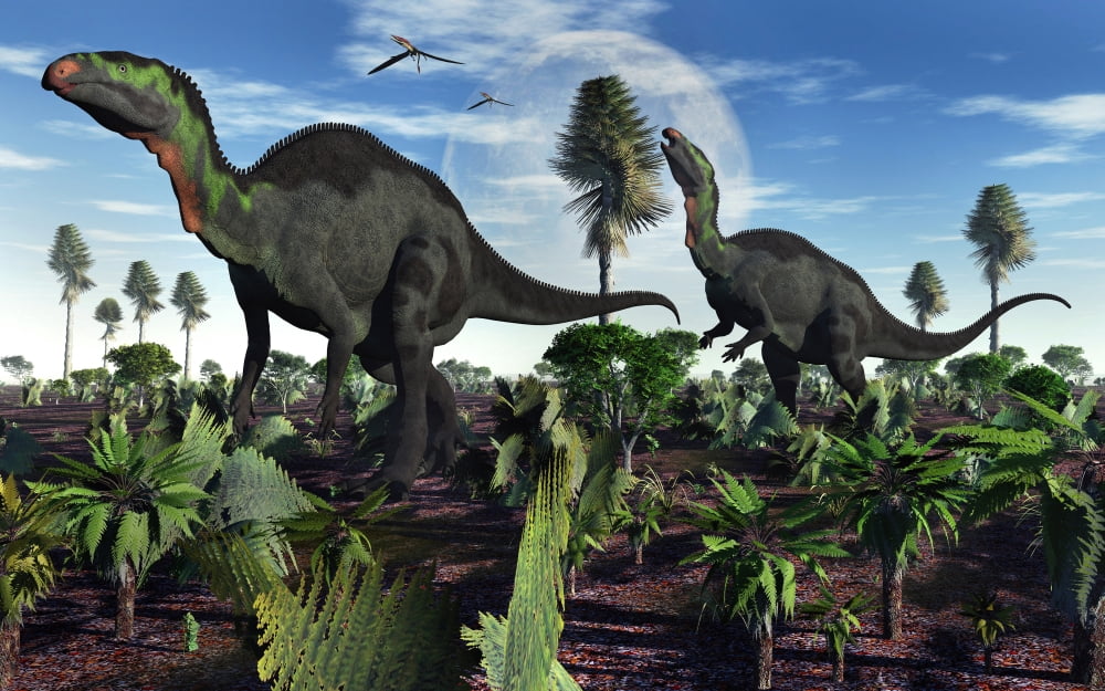 A pair of herbivorous Camptosaurus dinosaurs Canvas Art - Mark StevensonStocktrek Images (36 x 23)