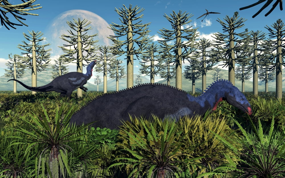 A pair of herbivorous Camptosaurus dinosaurs grazing Canvas Art - Mark StevensonStocktrek Images (18 x 12)