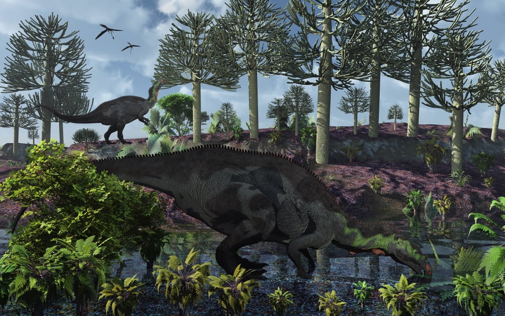 A pair of herbivorous Camptosaurus dinosaurs grazing Canvas Art - Mark StevensonStocktrek Images (36 x 23)