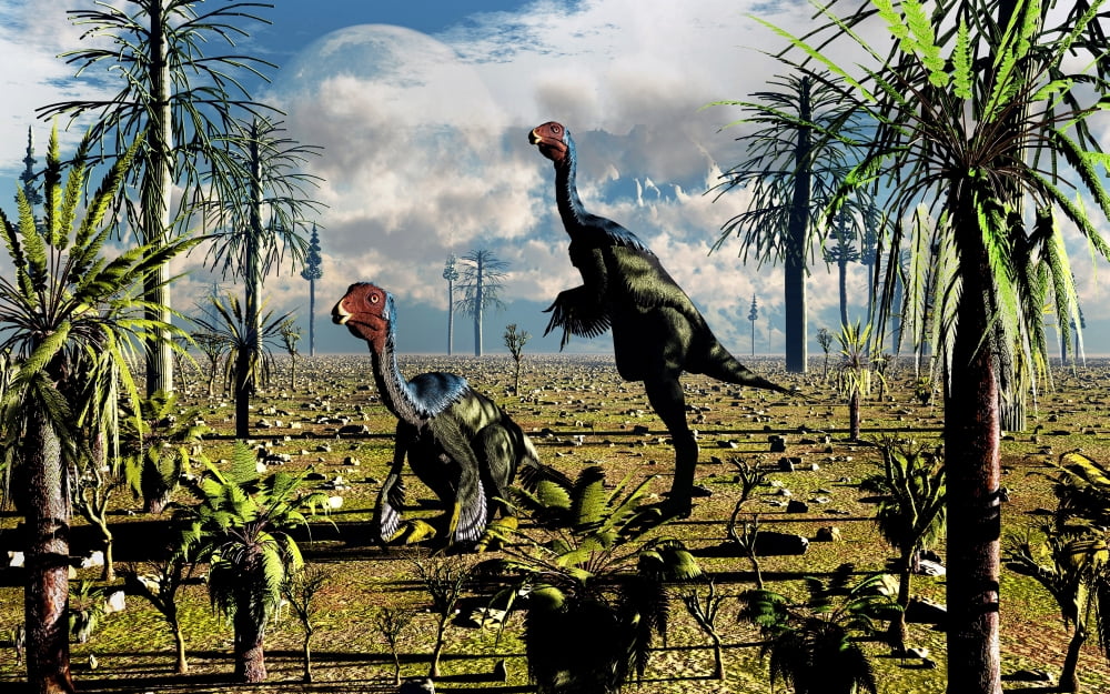 A pair of omnivorous Caudipteryx feathered dinosaurs Canvas Art - Mark StevensonStocktrek Images (36 x 23)