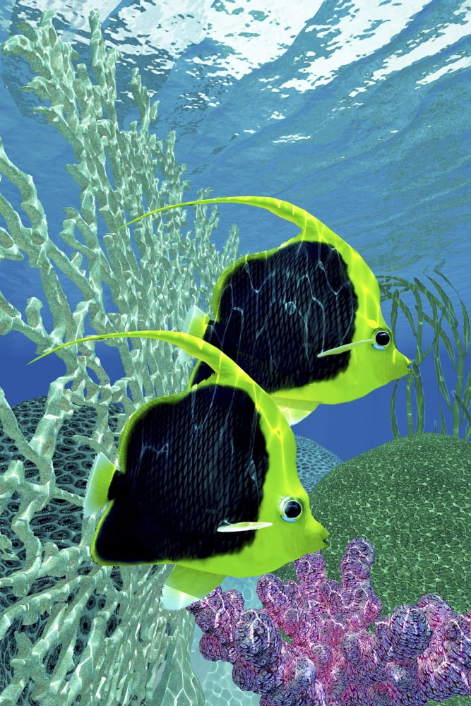 A pair of pennant coralfish swimming by a coral reef Canvas Art - Corey FordStocktrek Images (24 x 35)