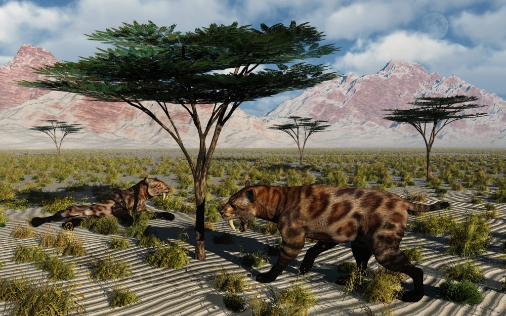 A pair of sabre-toothed cats resting under a treat on a hot day Canvas Art - Mark StevensonStocktrek Images (36 x 23)