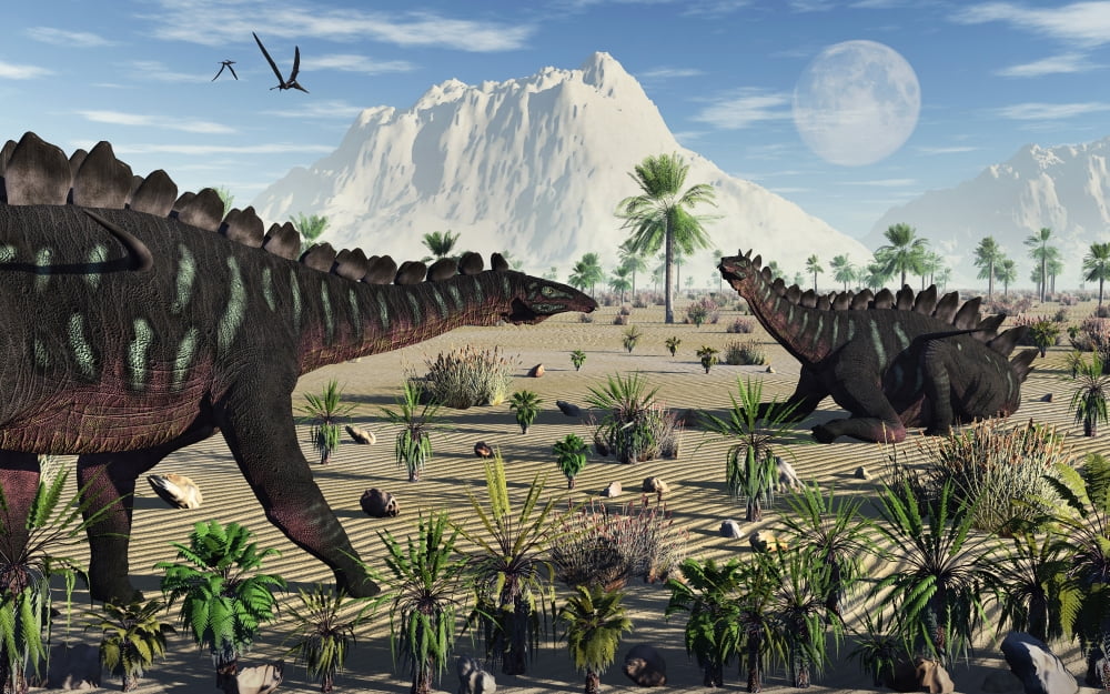 A pair of stegosaurid Miragaia dinosaurs Canvas Art - Mark StevensonStocktrek Images (36 x 23)
