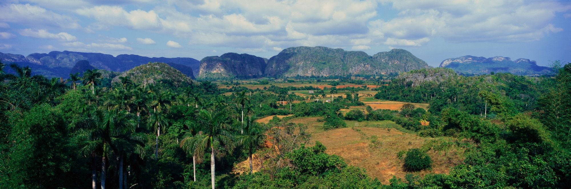 A panoramic view of the Valle de Vinales in central Cuba Canvas Art - Panoramic Images (27 x 9)