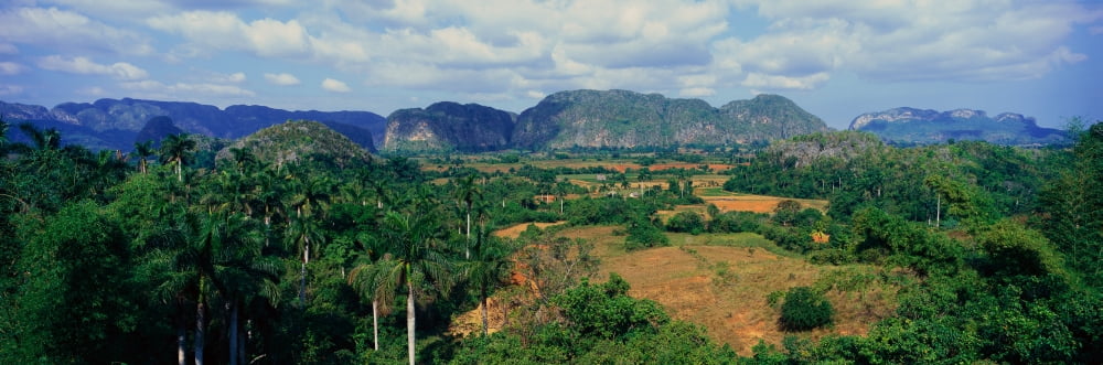 A panoramic view of the Valle de Vinales in central Cuba Canvas Art - Panoramic Images (36 x 12)