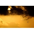 thumbnail image 1 of A parachute jumper floats to the ground during a training mission Poster Print by Stocktrek Images (17 x 11), 1 of 1