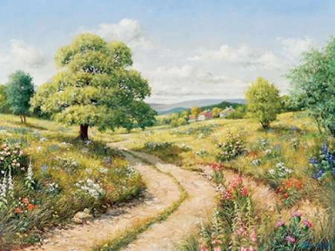 A path to peace Canvas Art - Peter Motz (18 x 24)