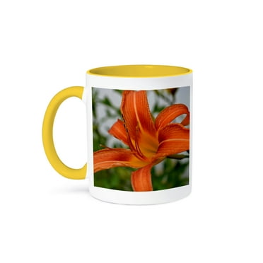 3dRose, A perfect macro of a day lily, 11oz Two-Tone Yellow Mug
