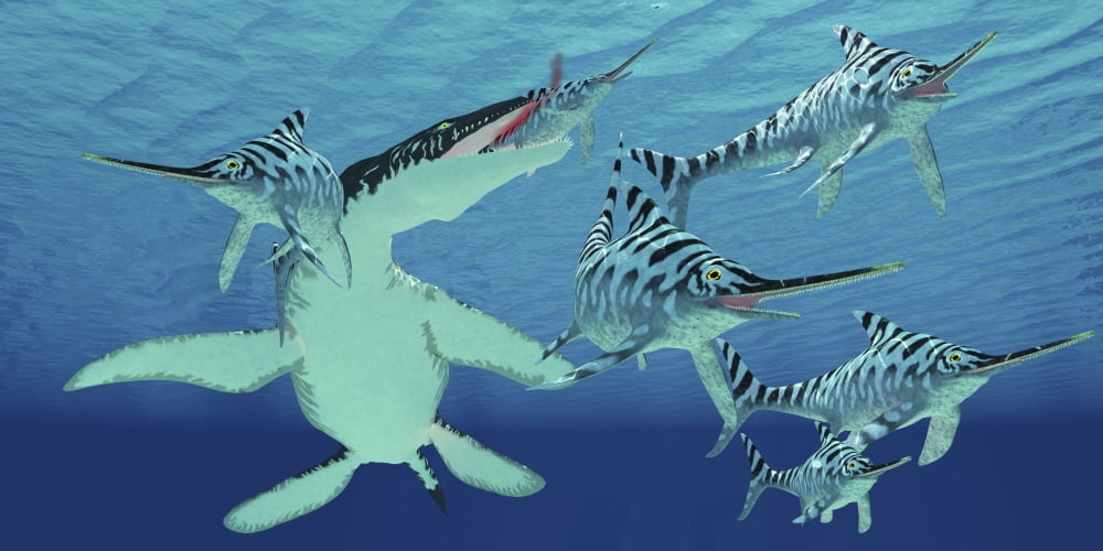 A pod of Eurhinosaurus marine reptiles try to evade the much larger Liopleurodon Canvas Art - Corey FordStocktrek Images (40 x 20)