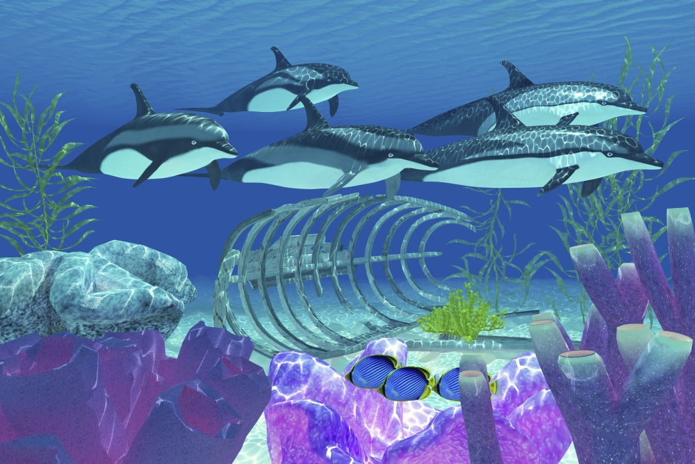 A pod of striped dolphins swim over an old boat wreck Canvas Art - Corey FordStocktrek Images (18 x 12)