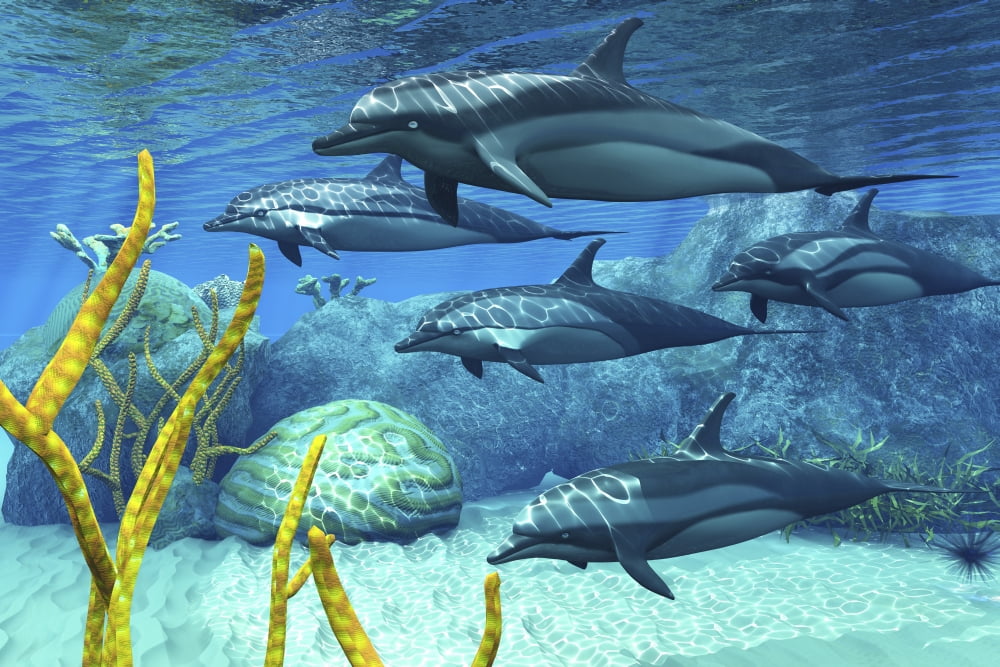 A pod of striped dolphins swimming along a reef Canvas Art - Corey FordStocktrek Images (35 x 23)