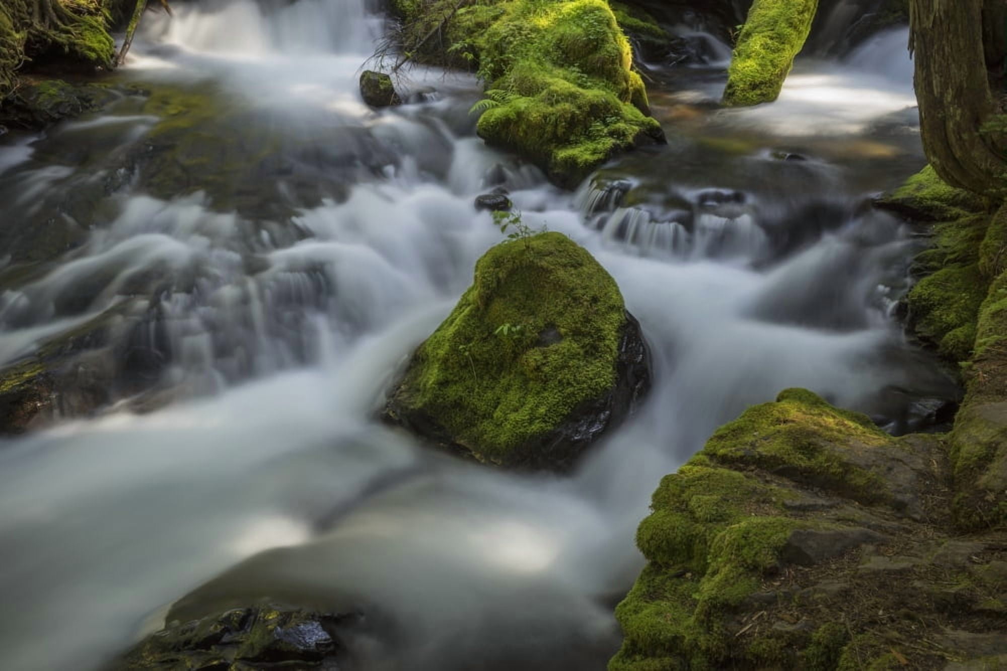 A portion of Panther Creek Washington United States of America Canvas Art - Robert Postma Design Pics (38 x 24)