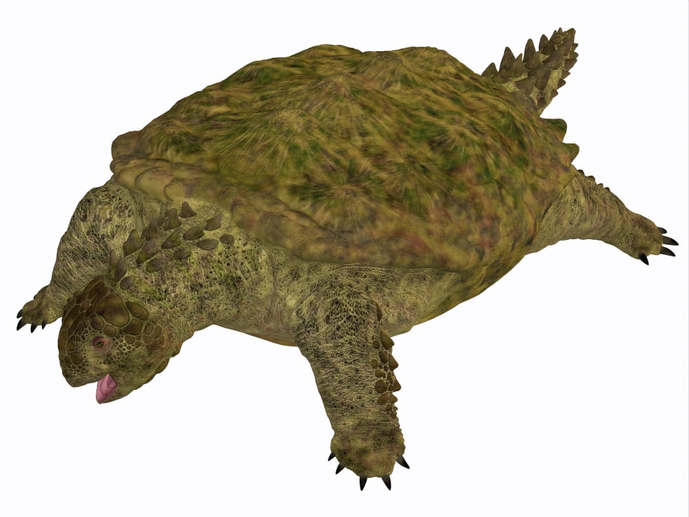 A prehistoric Proganochelys turtle species from the Triassic Period Canvas Art - Corey FordStocktrek Images (32 x 24)