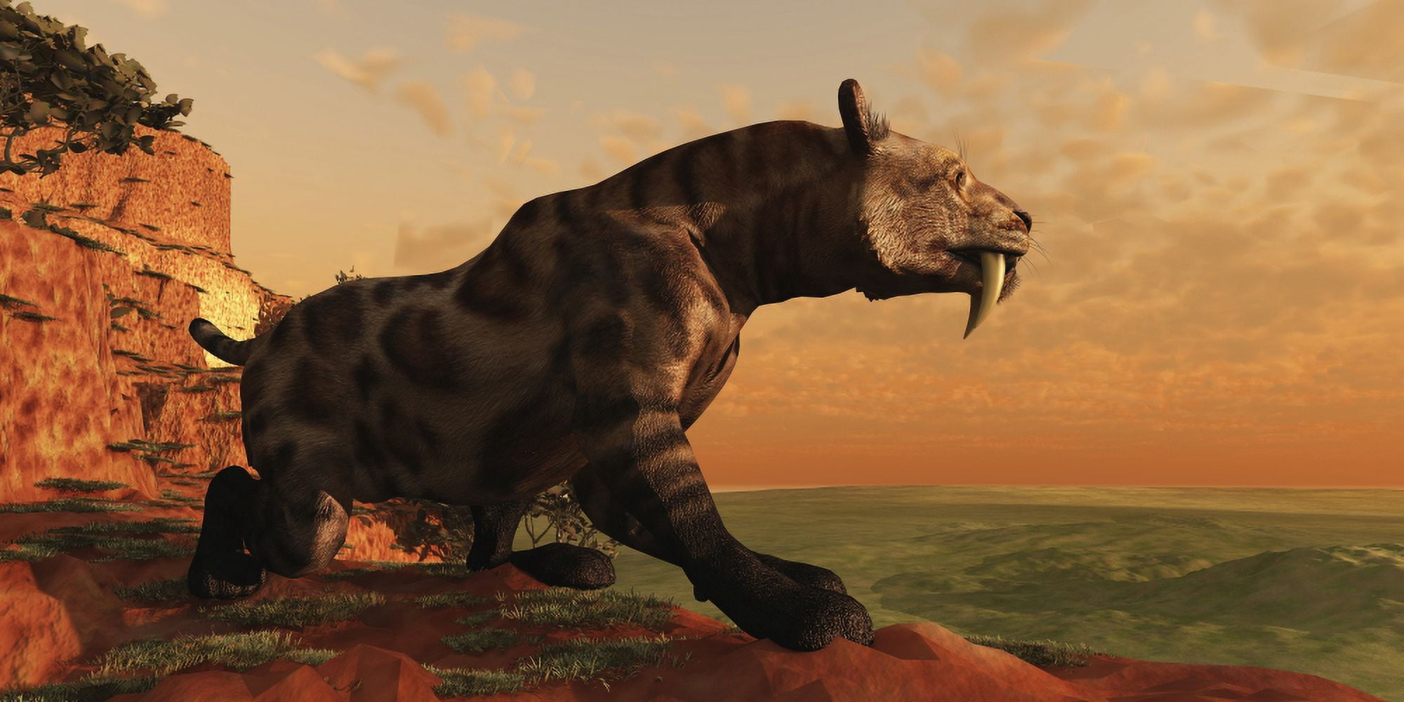 A prehistoric Smilodon Cat is on the prowl for his next prey Canvas Art - Corey FordStocktrek Images (40 x 20)