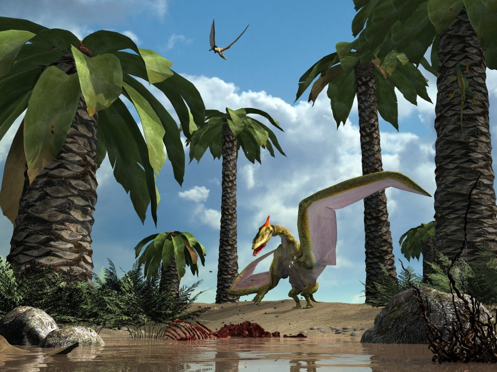 A pterosaur flying reptile lands next to some carrion Canvas Art - Walter MyersStocktrek Images (17 x 13)