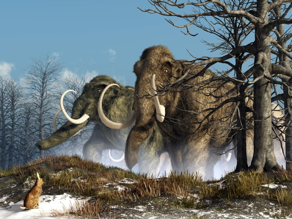 A rabbit witnesses a herd of mammoths in a snowy forest Canvas Art - Daniel EskridgeStocktrek Images (17 x 13)
