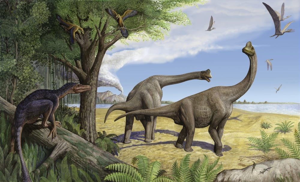 A raptor stalks a pair of grazing Europasaurus holgeri dinosaurs Canvas Art - Sergey KrasovskiyStocktrek Images (37 x 22)