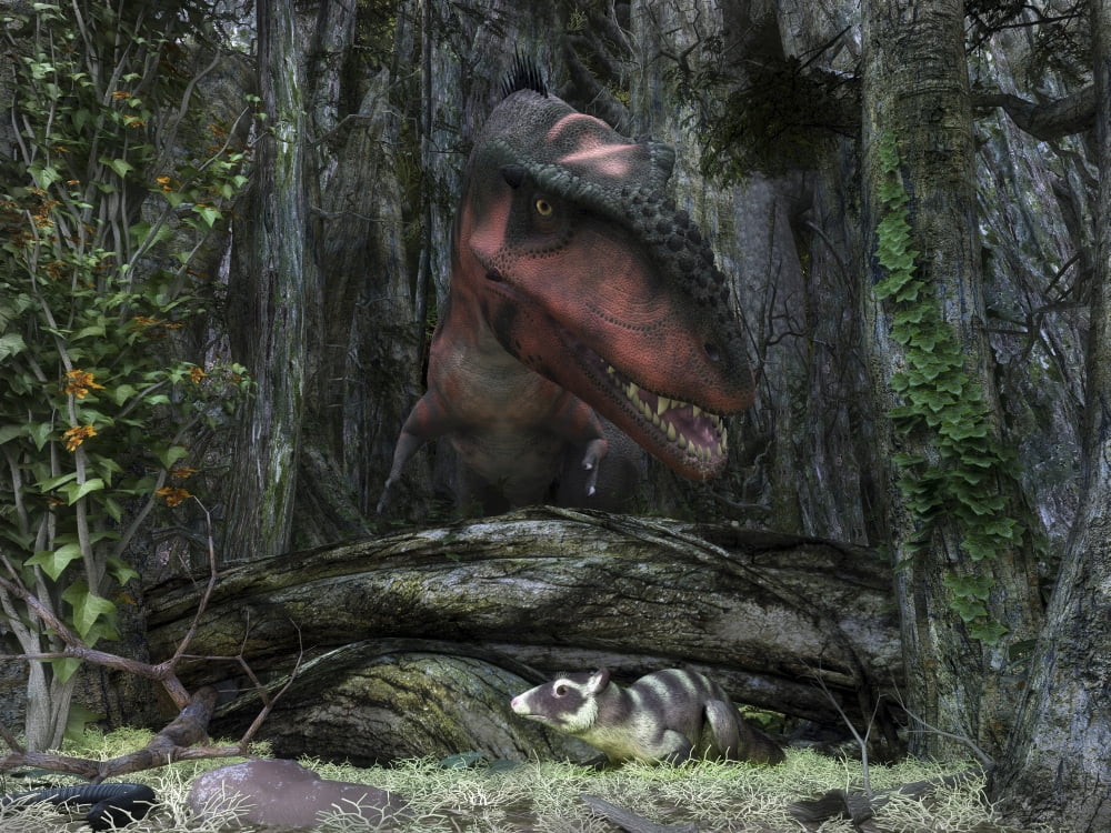 A rat-sized Purgatorius hides from a Bistahieversor dinosaur in a cretaceous forest Canvas Art - Walter MyersStocktrek Images (17 x 13)