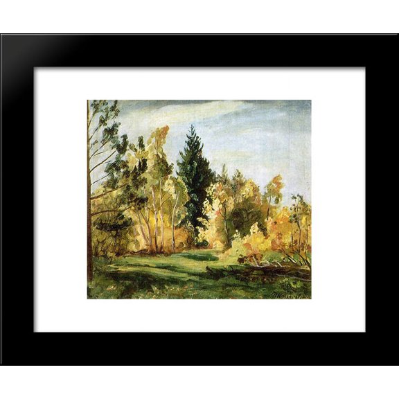 A ray of sunlight. The forest. 20x24 Framed Art Print by Pyotr Konchalovsky