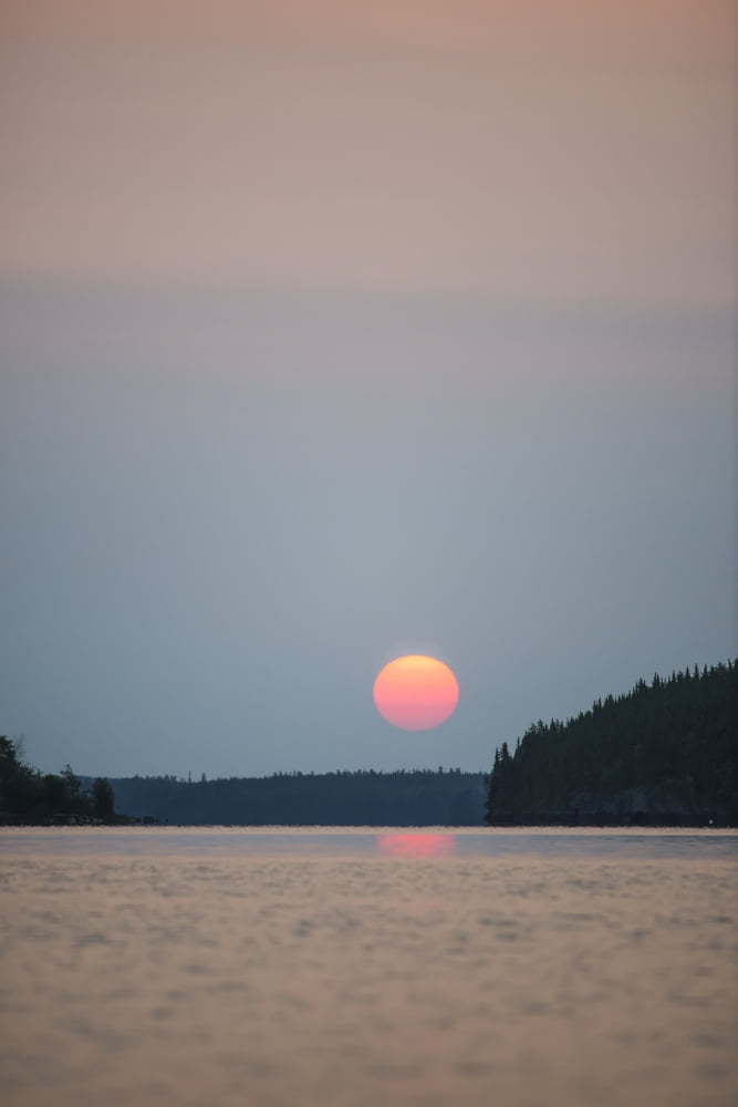 A red sun setting over the forest with a lake reflecting the pink glow Manitoba Canada Canvas Art - Thomas Fricke Design Pics (12 x 19)