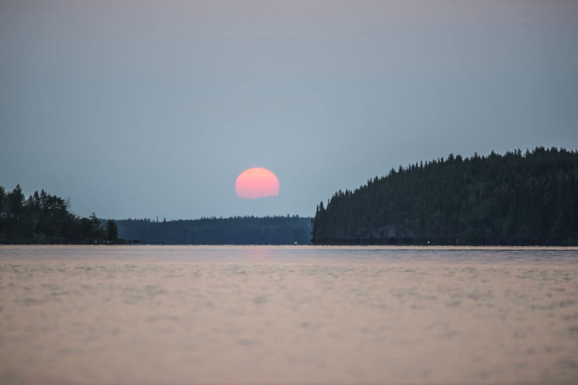 A red sun setting over the forest with a lake reflecting the pink glow Manitoba Canada Canvas Art - Thomas Fricke  Design Pics (19 x 12)