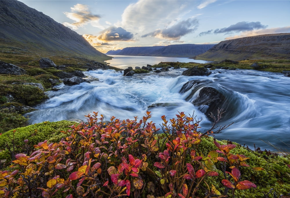 A river flows through the landscape on the West Fjords Iceland Canvas Art - Robert Postma Design Pics (36 x 24)