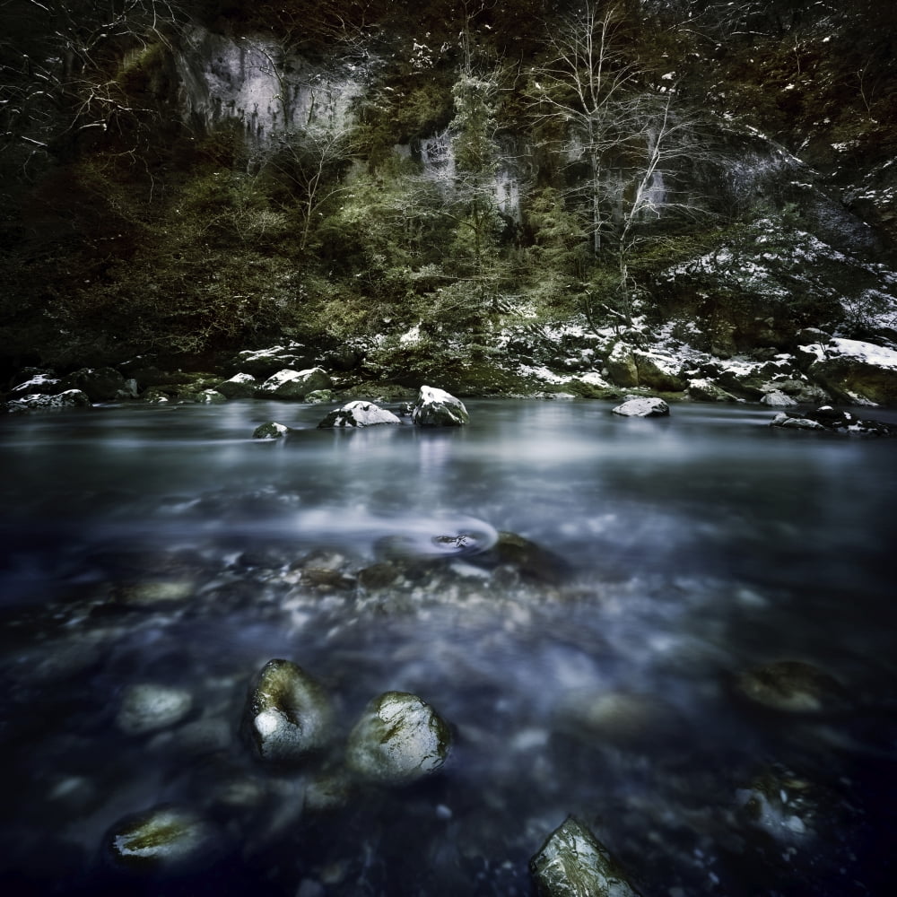 A river in a forest Ritsa Nature Reserve Abkhazia Georgia Canvas Art - Evgeny KuklevStocktrek Images (29 x 29)