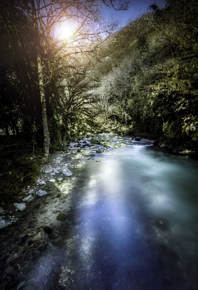 A river in a forest at sunset Ritsa Nature Reserve Abkhazia Georgia Canvas Art - Evgeny KuklevStocktrek Images (12 x 17)