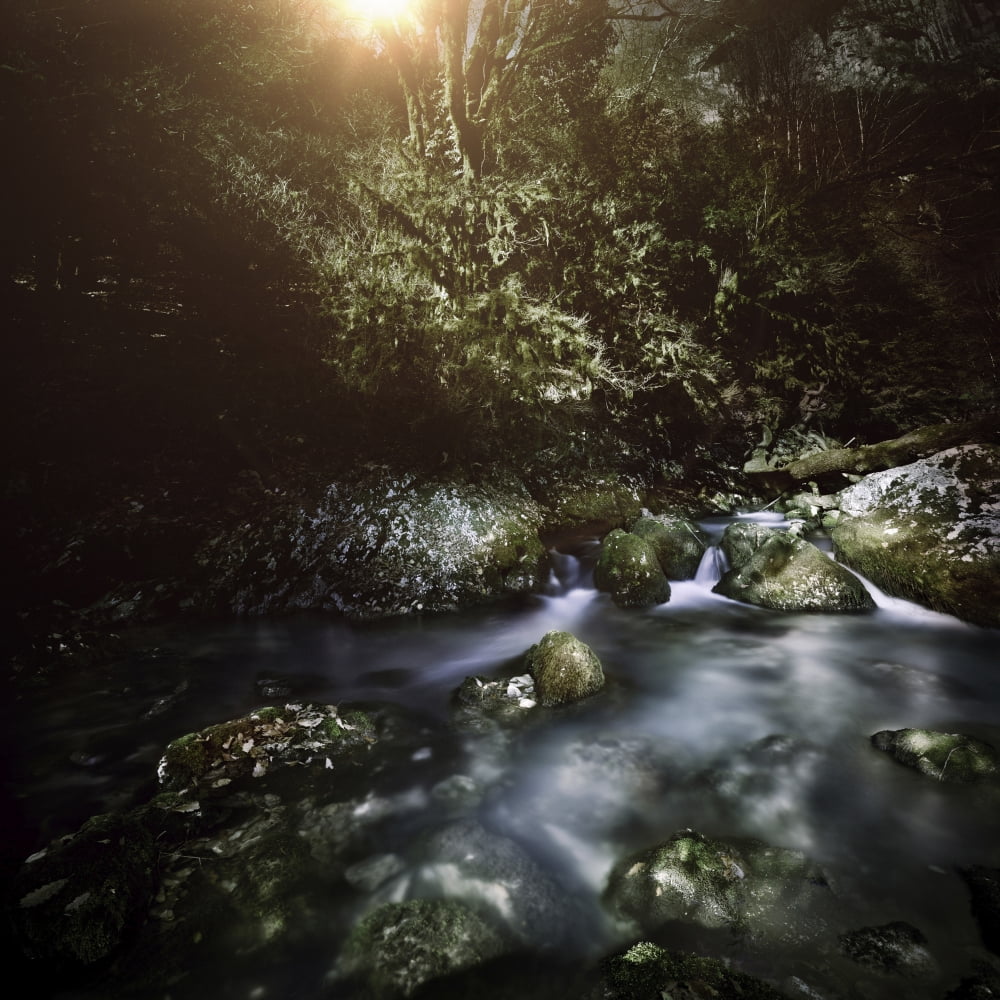 A river in a forest at sunset Ritsa Nature Reserve Abkhazia Georgia Canvas Art - Evgeny KuklevStocktrek Images (29 x 29)