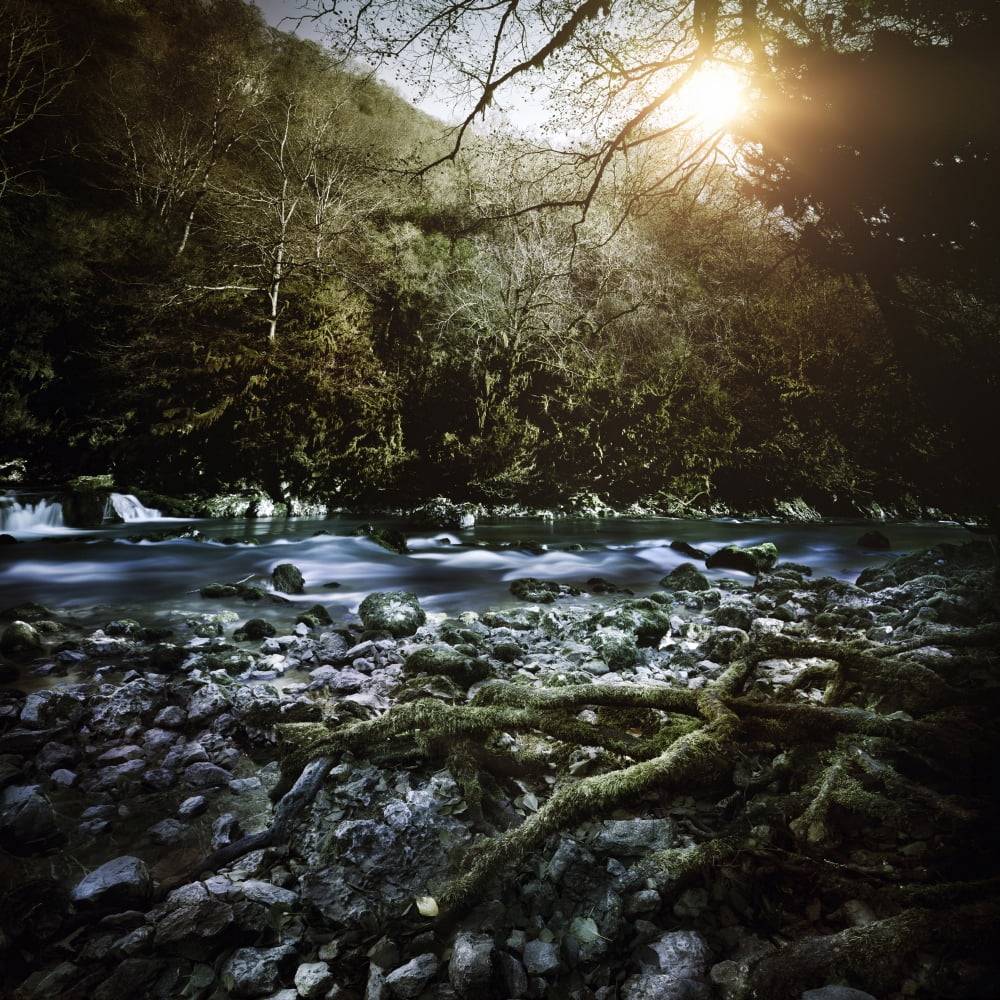 A river in a forest at sunset Ritsa Nature Reserve Abkhazia Georgia Canvas Art - Evgeny KuklevStocktrek Images (29 x 29)