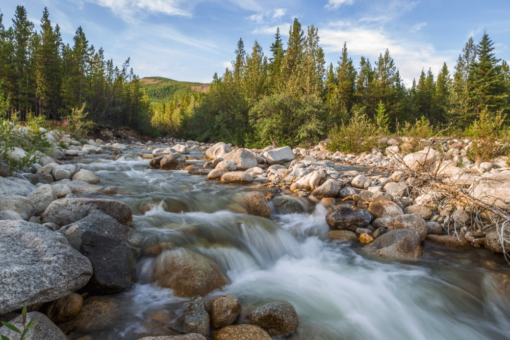 A river rushing over rocks in a landscape of trees and hills Yukon Canada Canvas Art - Zachary Sheldon Design Pics (19 x 12)