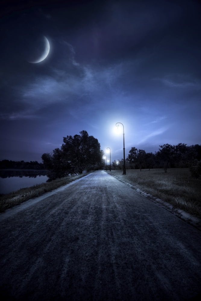 A road in a park at night against moon and moody sky Moscow Russia Canvas Art - Evgeny KuklevStocktrek Images (23 x 35)
