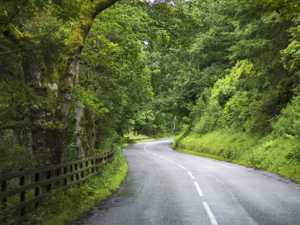A road lined with lush trees and foliage and a wooden fence Dunkeld Perth and Kinross Scotland Canvas Art - Keith Levit  Design Pics (17 x 13)